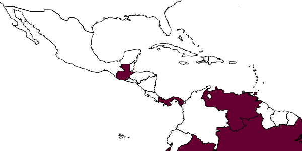 map of Trissolcus pustulans     Johnson, 1987